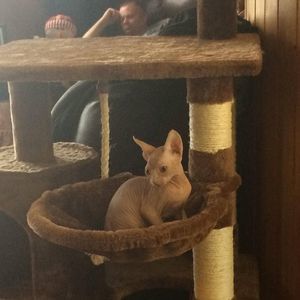 Meet your Posher, Annabelle